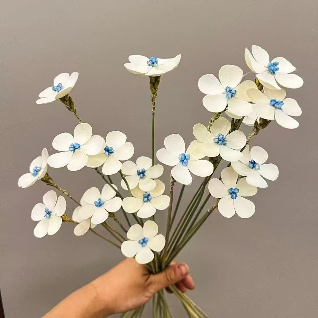 干花紫罗兰蓝芯紫罗兰蓬莱松草莓果七夕情人节花束花店DIY