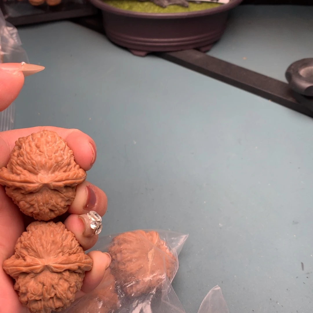 文玩核桃把件白狮子3839