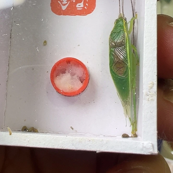 哈哈哈哈哈哈哈哈哈