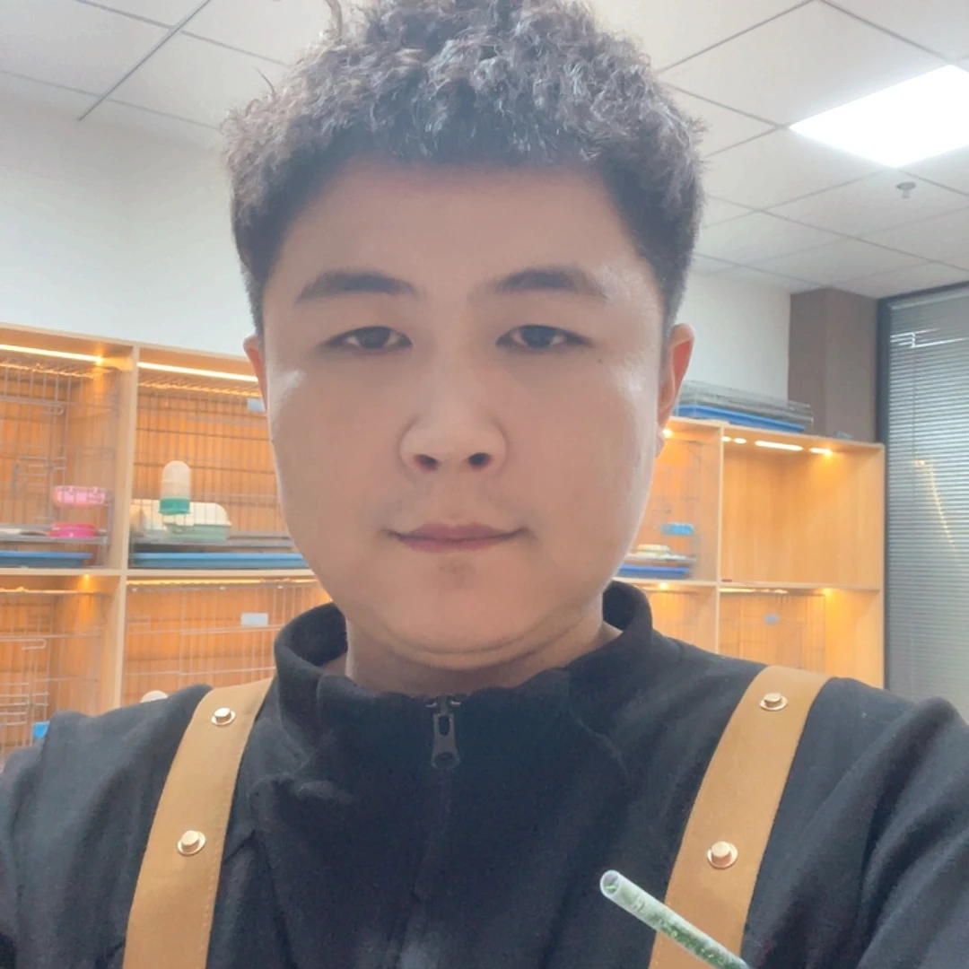 宠物猫批发商老板一只