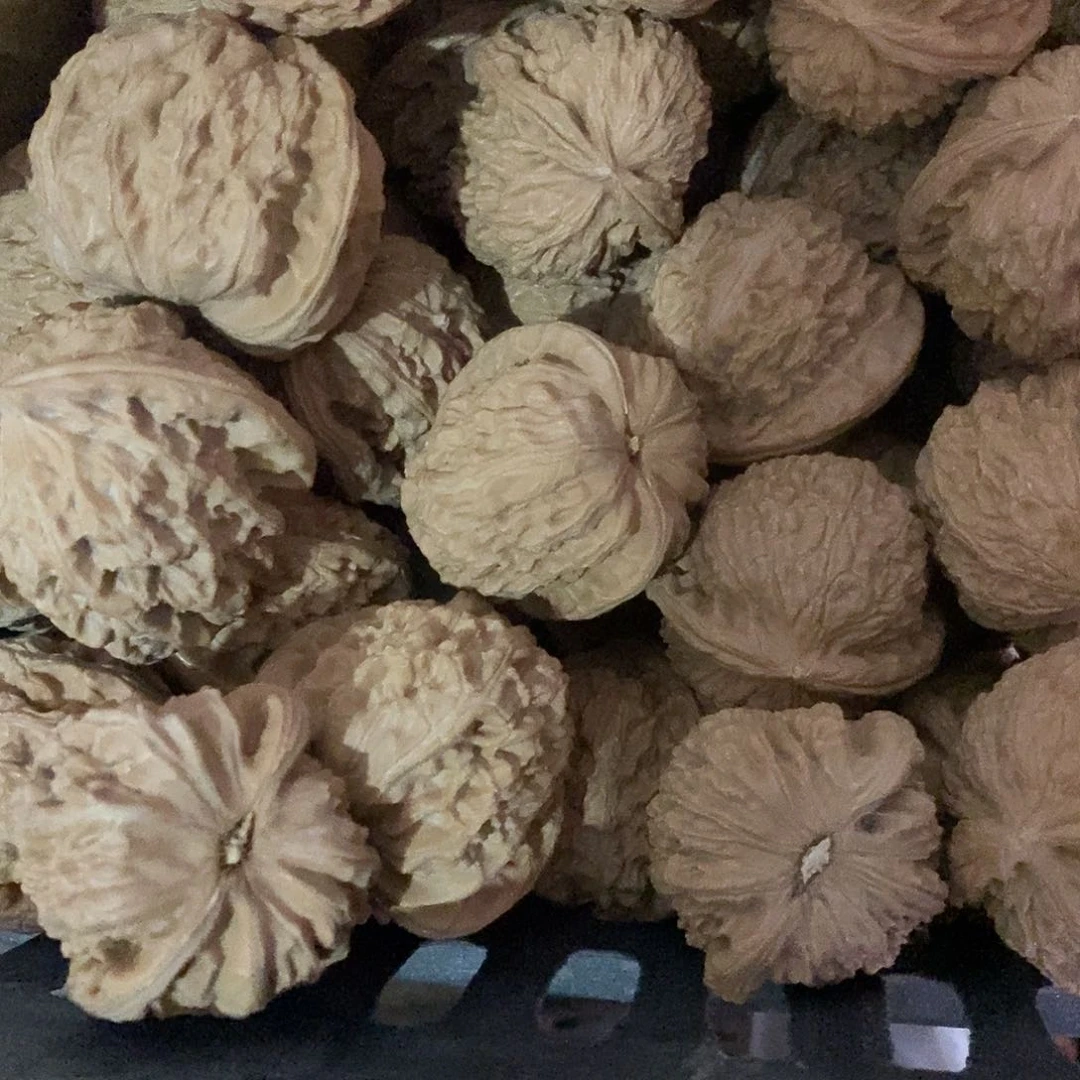 桃核把件斯****室白狮子核桃30个