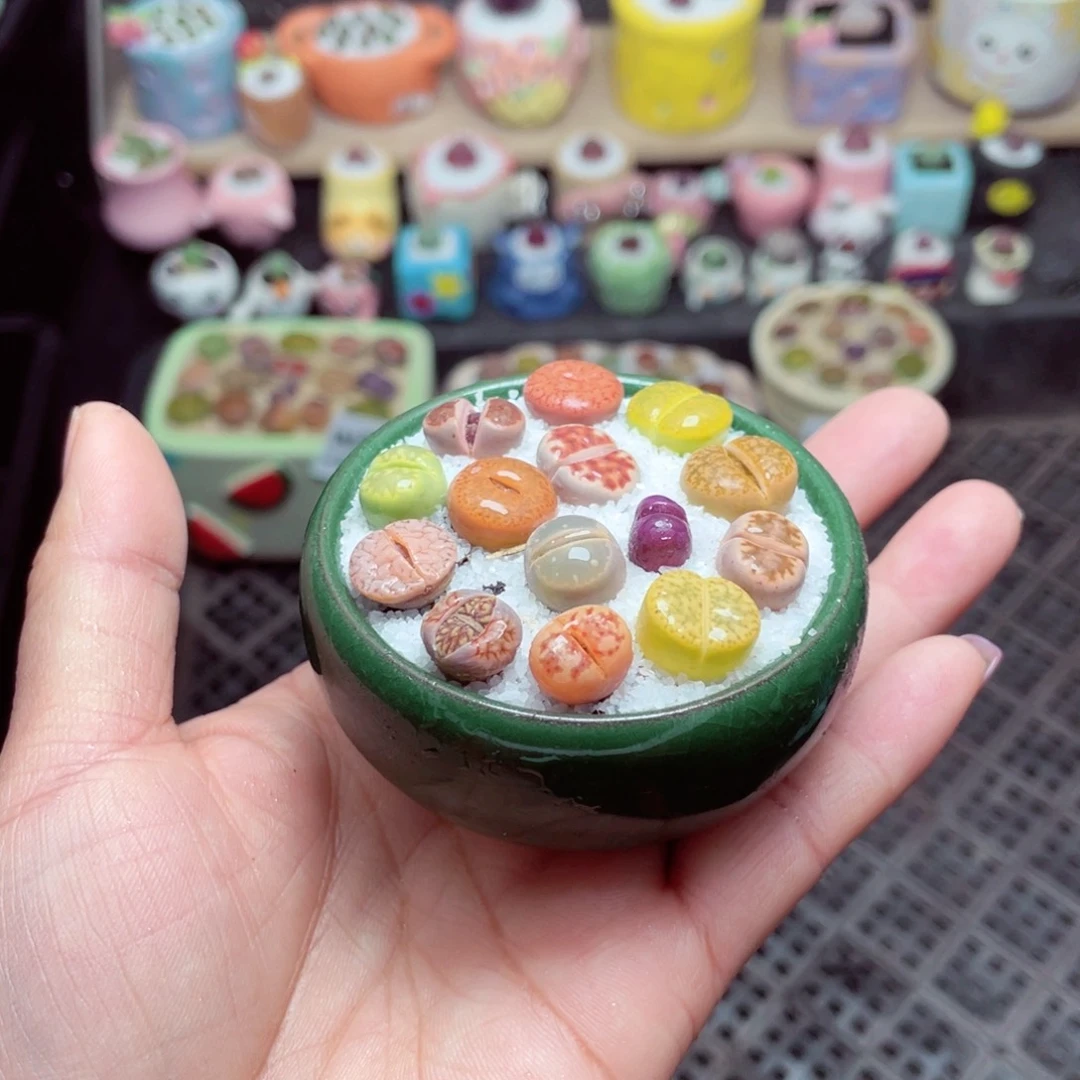 w9113 -零下地区拍保温箱-15支持寄养