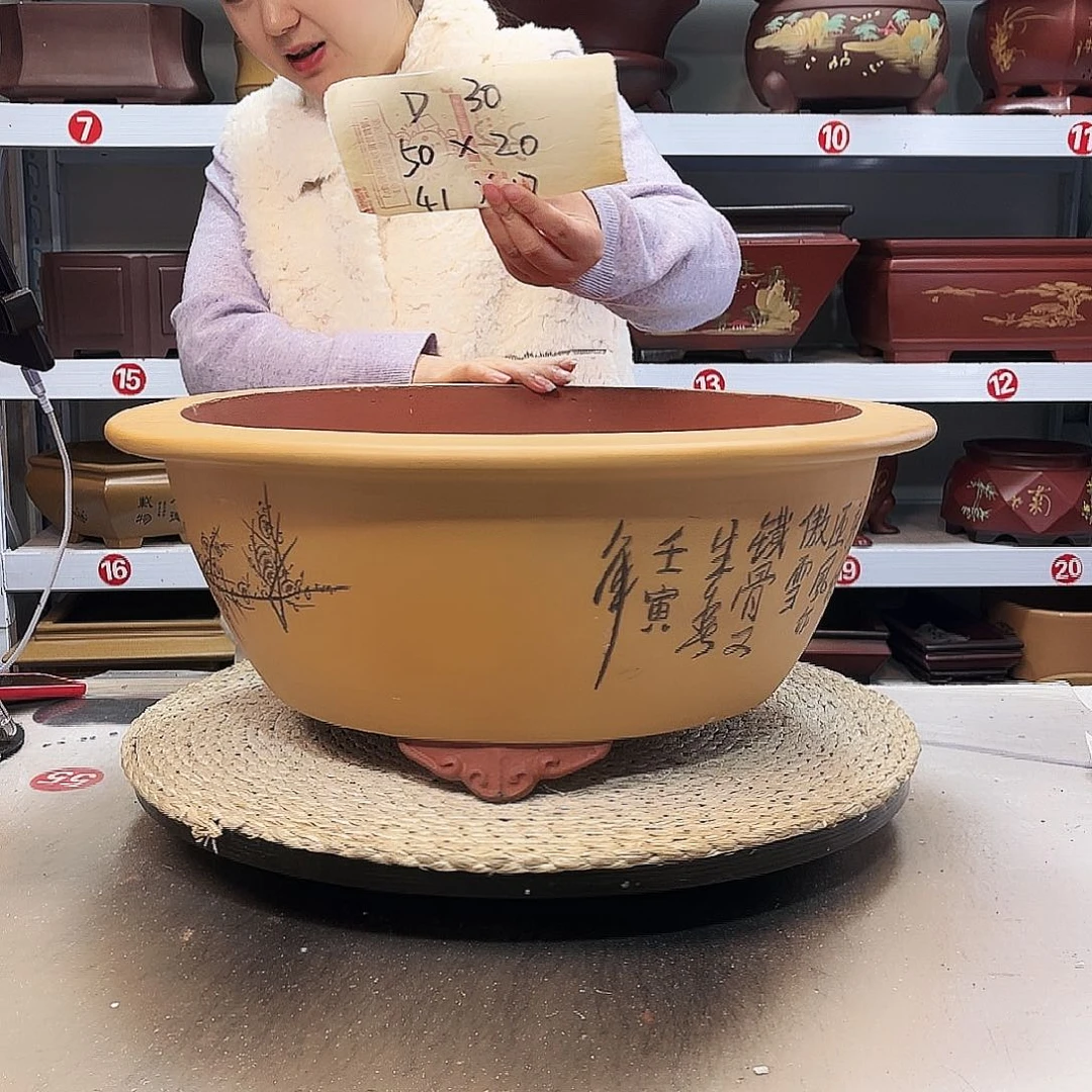 红泥花盆紫砂花盆里