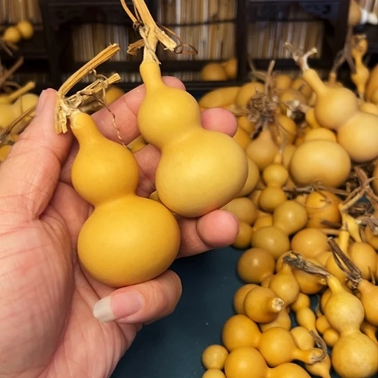 在干嘛我不去上班啊明天