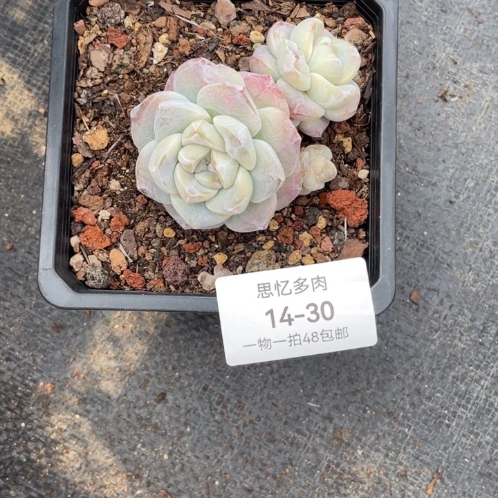 嘿***嘿我也是一天也没有睡