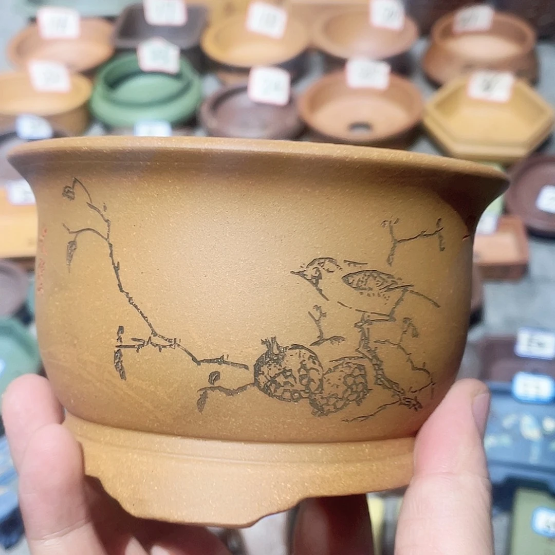 紫砂小盆10*7微瑕小盆