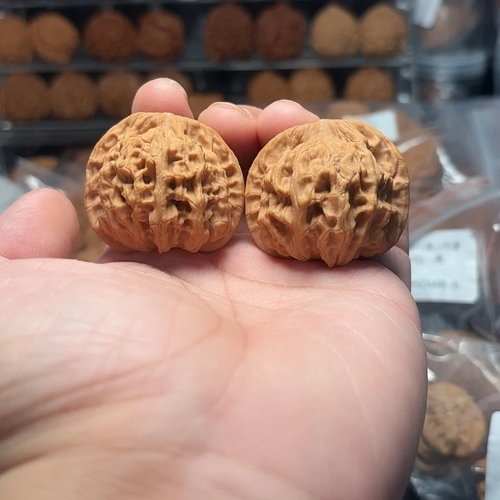 文玩核桃天地狮子头41-495