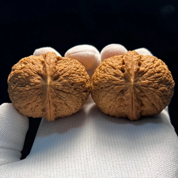 48尺寸铁秤砣树头-精品铁核桃云南纯野生天然文玩手把件一物一图