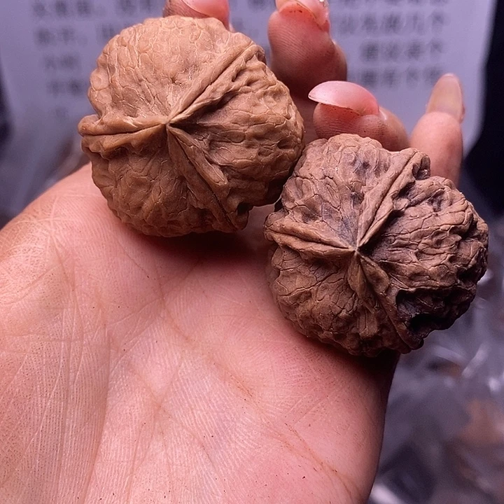 核桃云南野生铁核桃163号35mm