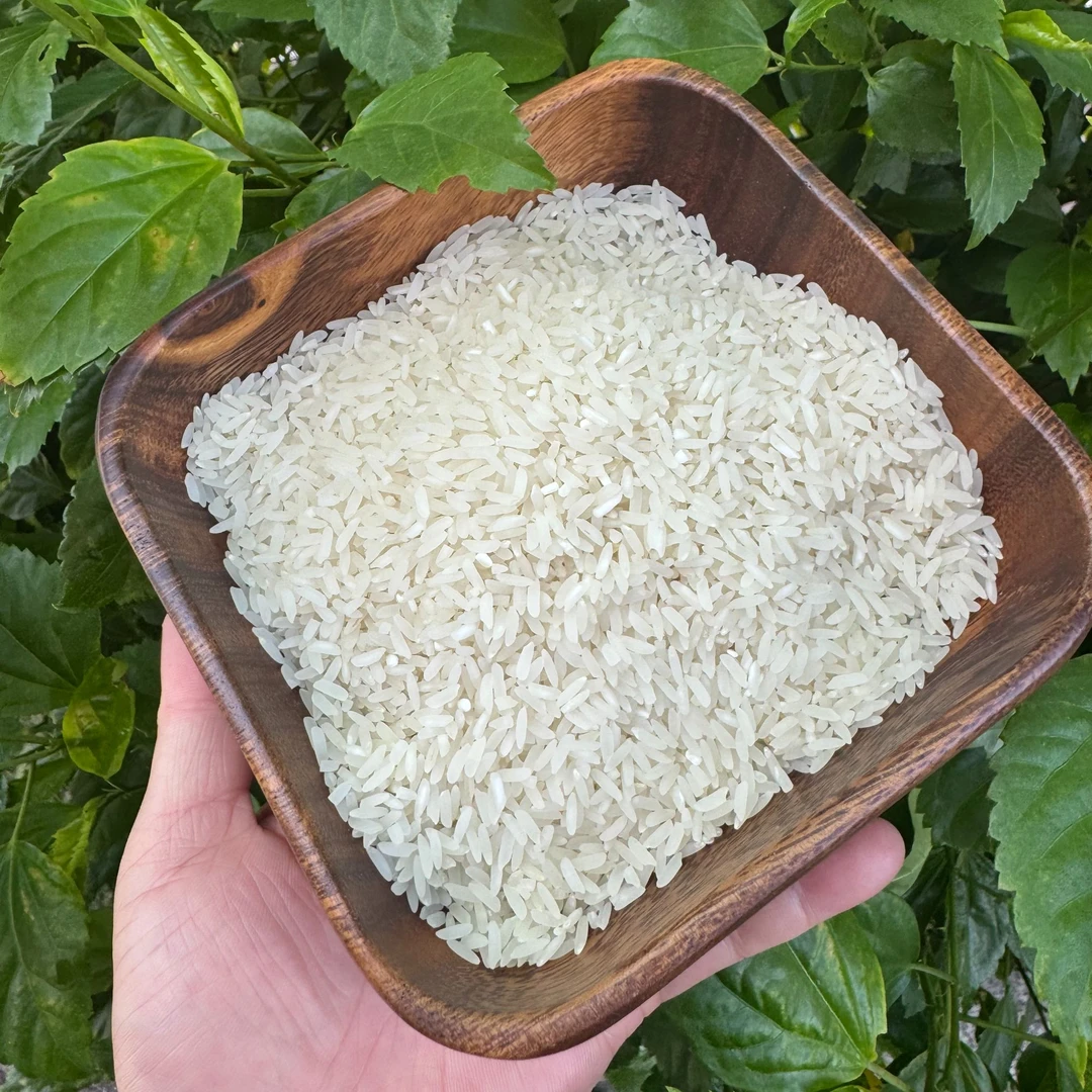 【钟山农家】仙游钟山大米5斤装新鲜白米农家一季冬米山里2025新米