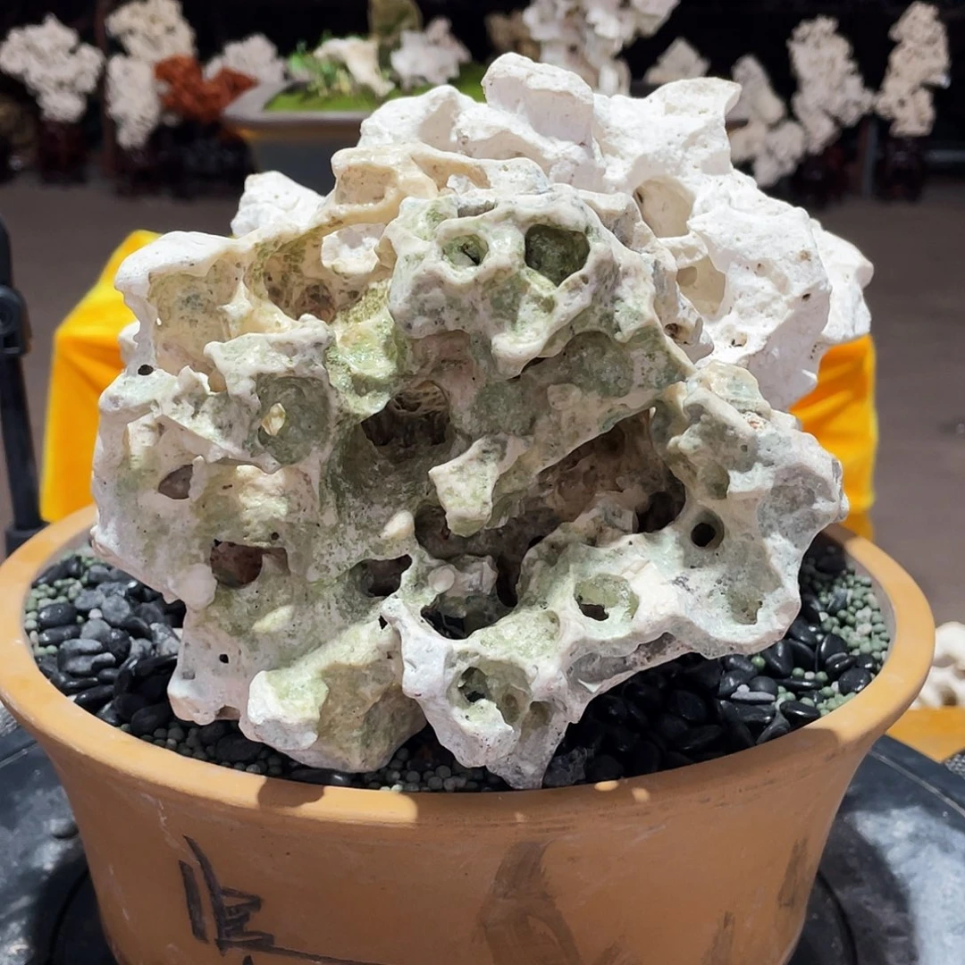 石材小*太湖石222
