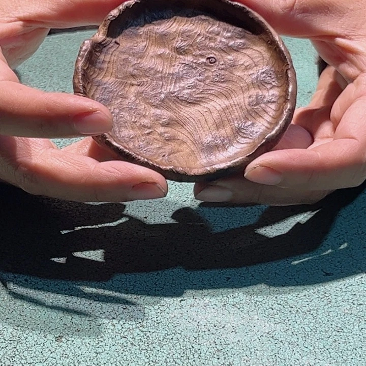 不***崽香杉木四川成都市