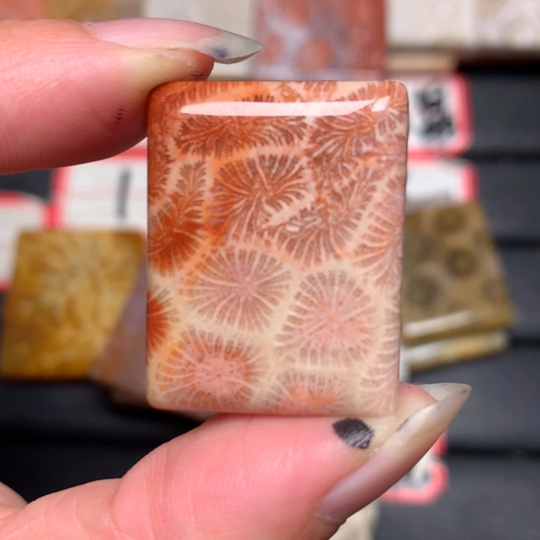 【闪购商品】硅化玉颈饰未镶嵌丹****7