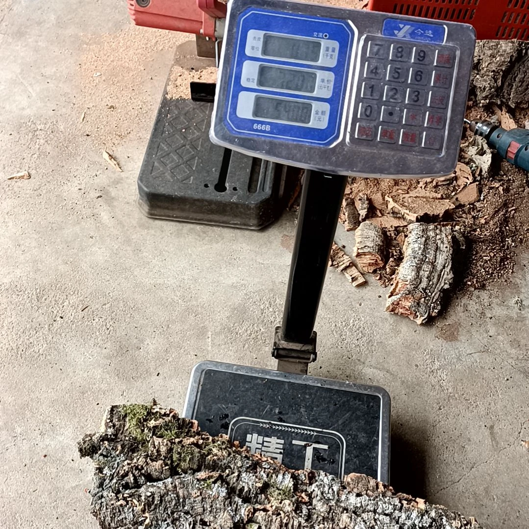 木一物一发物一发