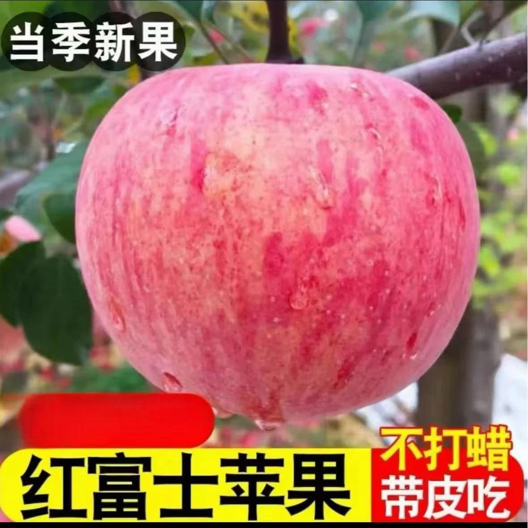 正宗山东红富士苹果新鲜水果应当季整箱苹果带箱10斤