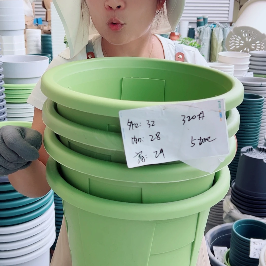 玫瑰320#果绿色5个无托