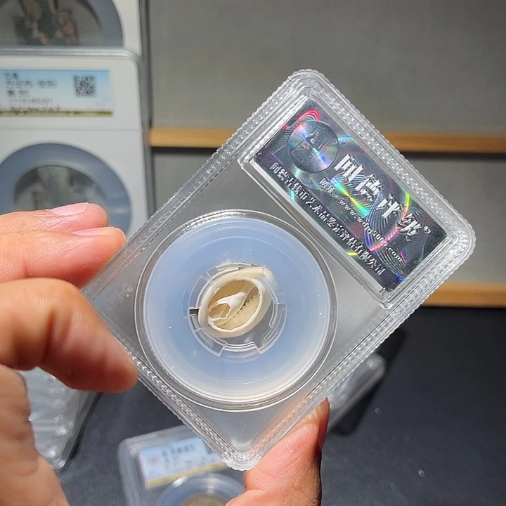 铜贝币古珍77777777777