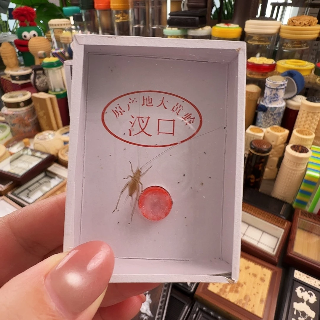 哈哈哈段须大黄一个