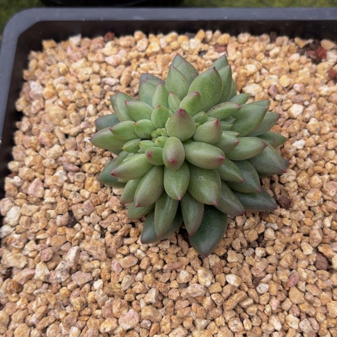 向***向Bnnnnnbhbnnnnnjjnnmmmm