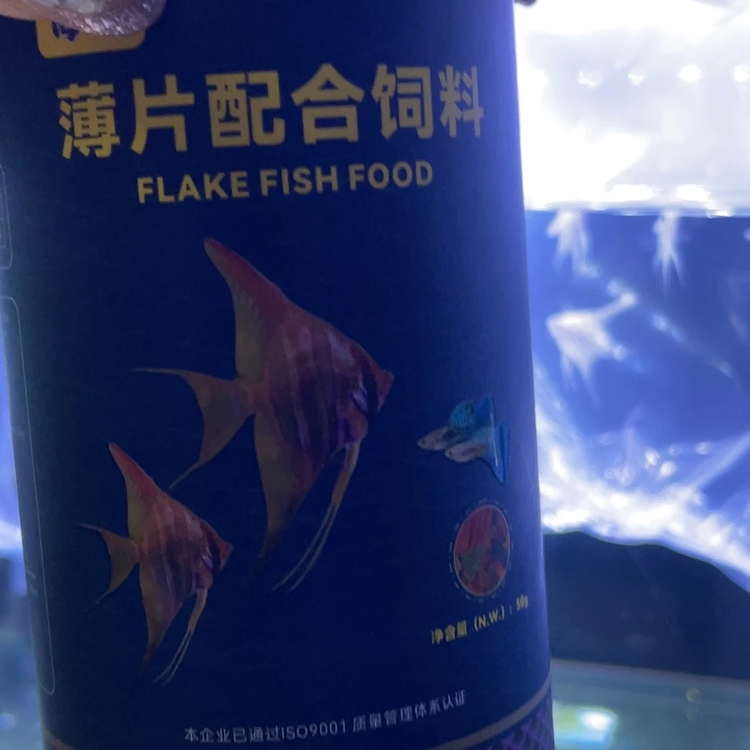 七彩神仙鱼贴片鱼食
