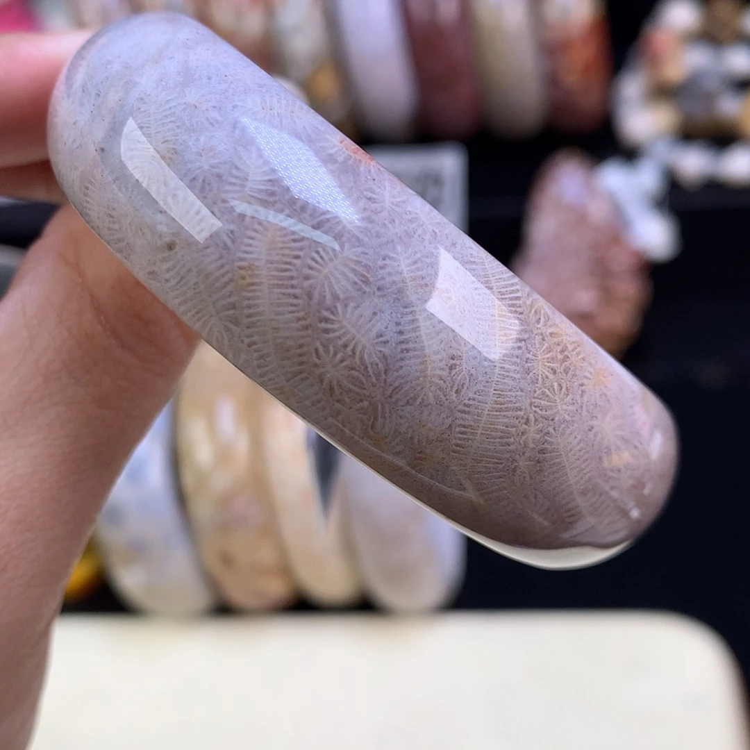 【闪购商品】颈饰未镶嵌硅化珊瑚（珊瑚玉）38号虫52.2圈