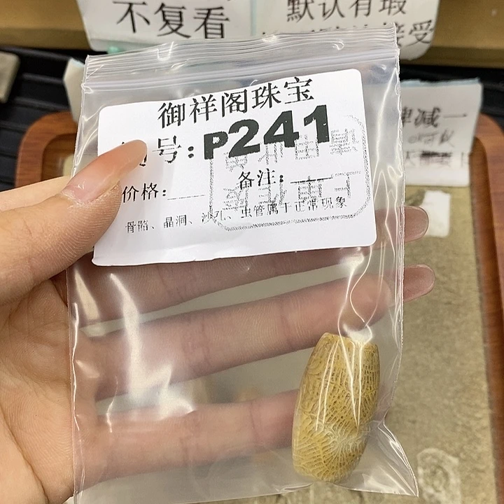 硅化珊瑚（珊瑚玉）未镶嵌颈饰思*