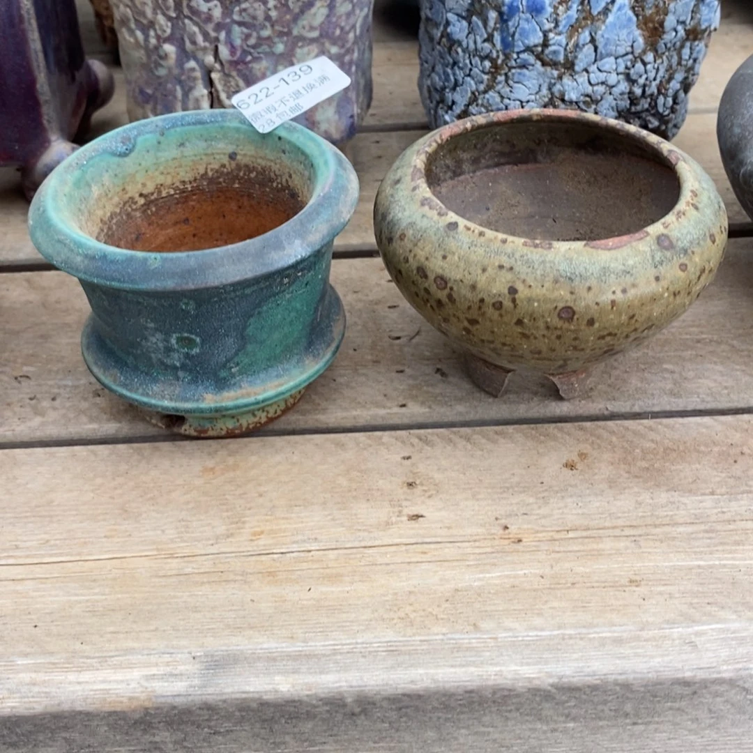 婉***、139号多肉盆两个小可爱