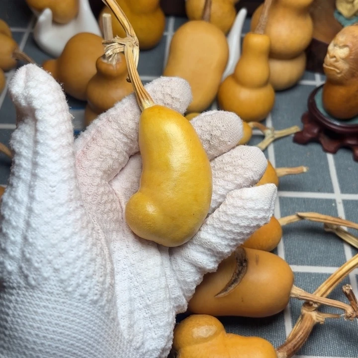 我***爸葫芦6666666666666