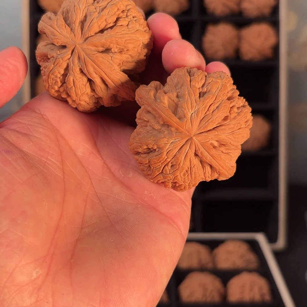 手串/手链核桃55555