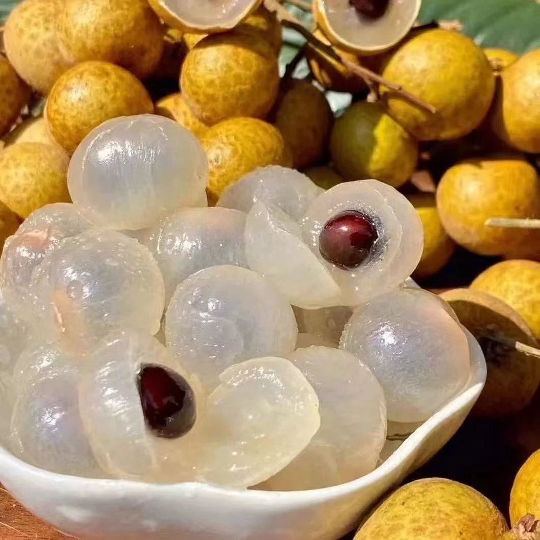 现摘新鲜当季石硖龙眼鲜甜多汁水果