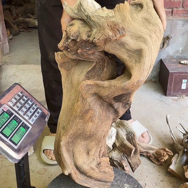 许***康崖柏崖柏崖柏崖柏