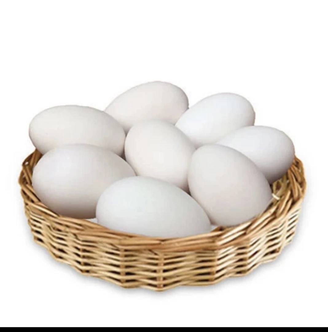 正宗新鲜散养土鹅蛋12枚包邮