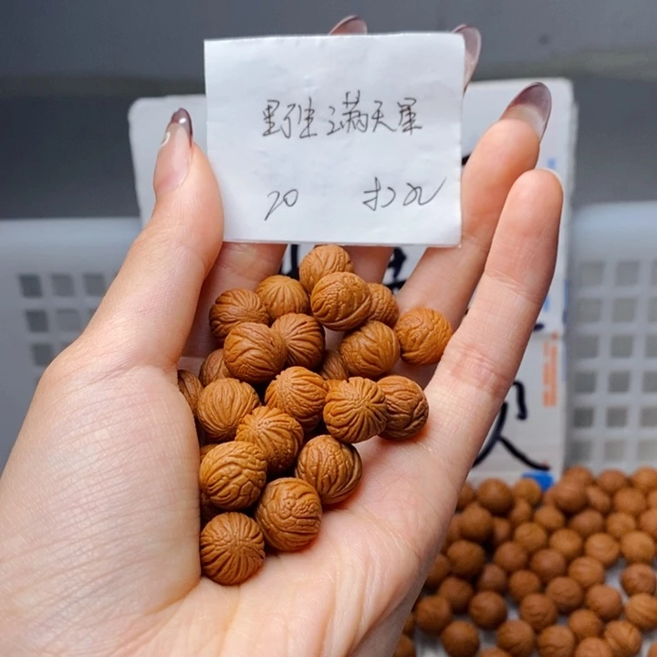 手串桃核11mm左右野生满天星20颗（打孔）