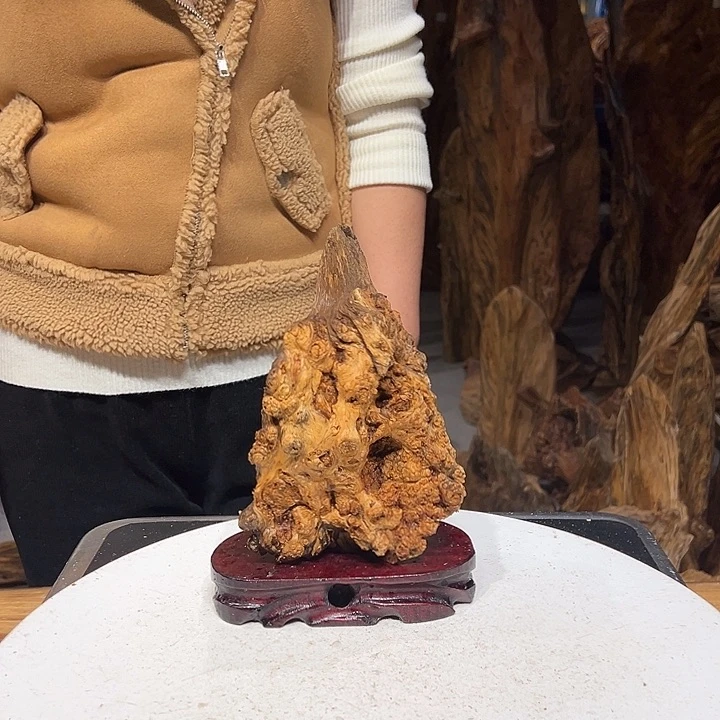 松木（琥珀木）瓜*瓜