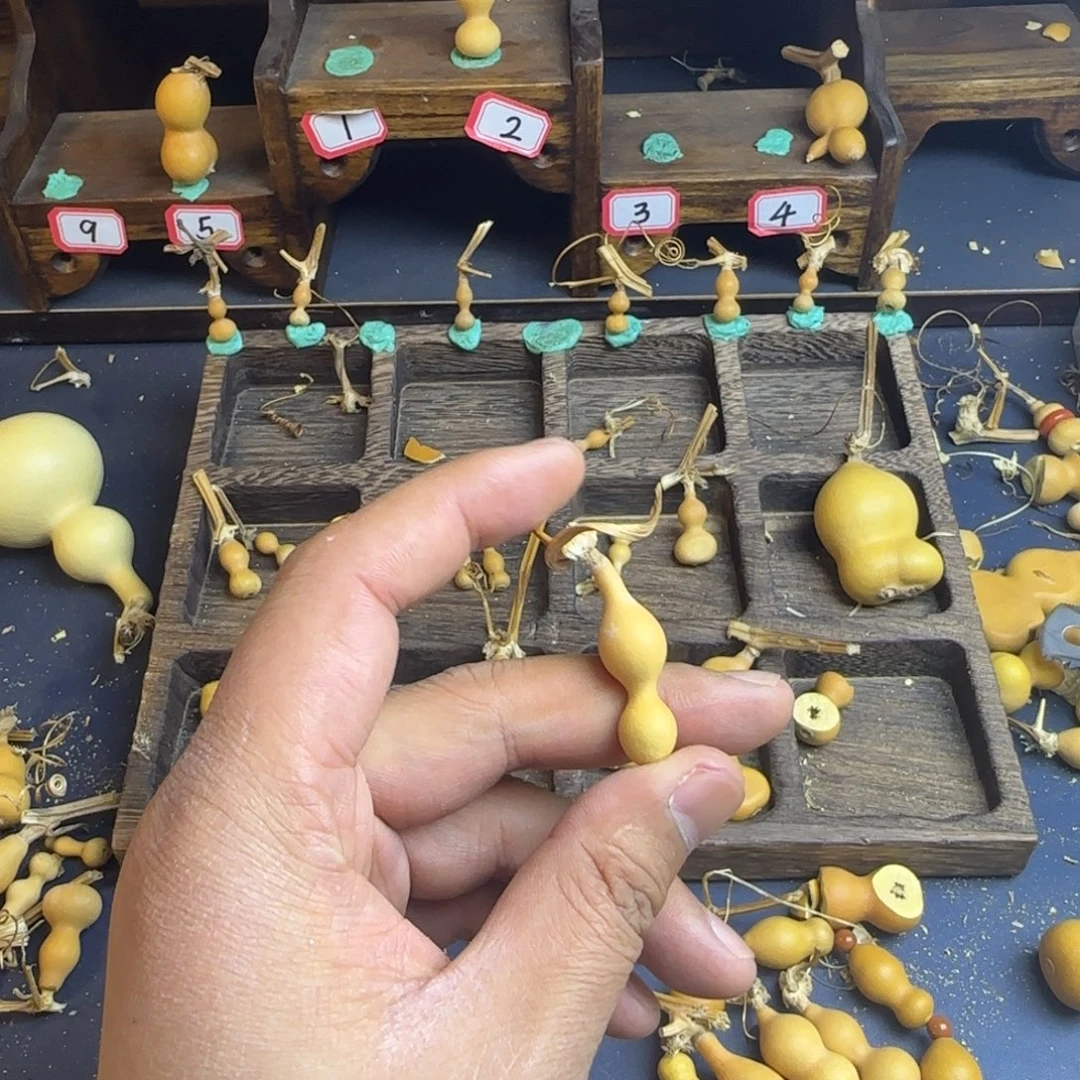 洋***洋我也是很喜欢这个节目了这个