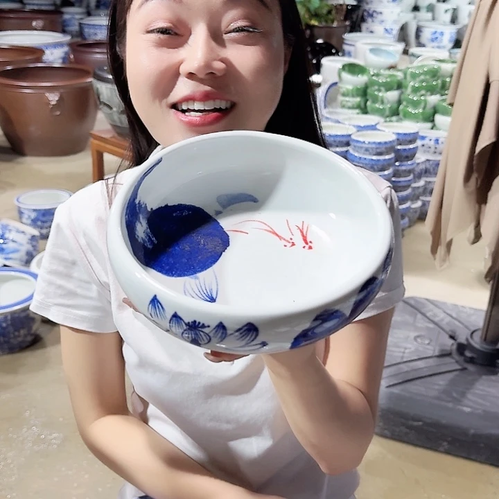 瓷片口径20厘米 高度6厘米