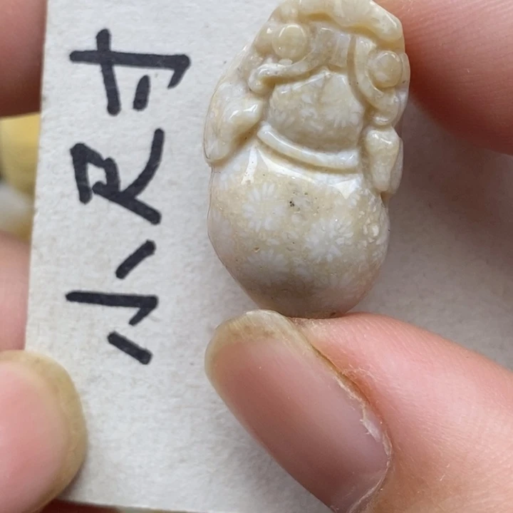 硅化珊瑚（珊瑚玉）未镶嵌颈饰