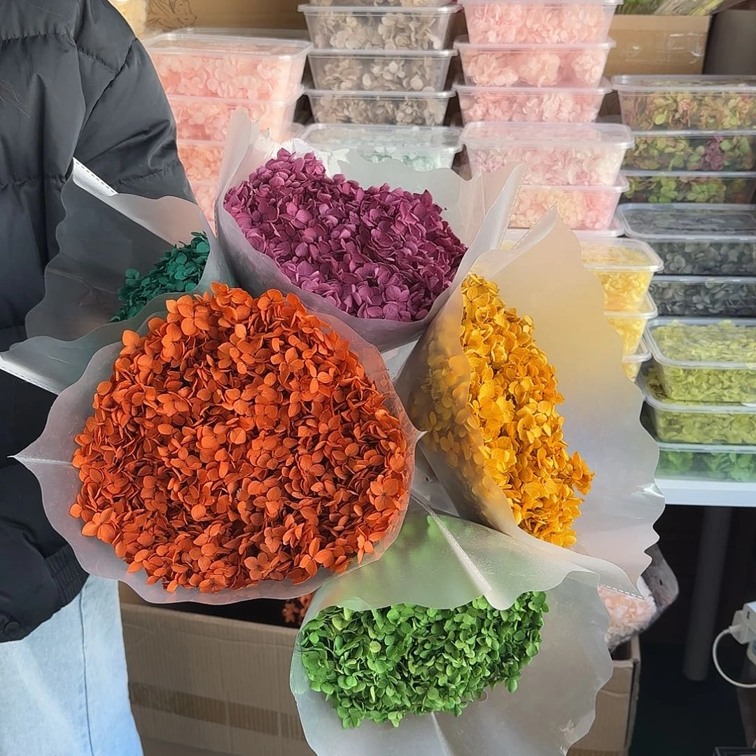 完全开放组合11号5枝混色复古绣球