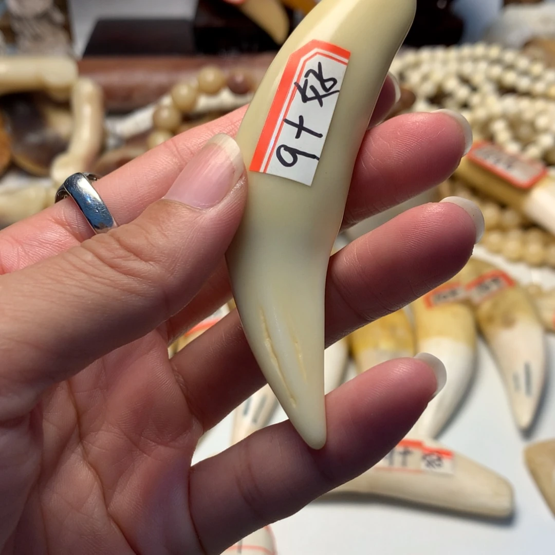 驼骨把件驼骨把件白色牙牙