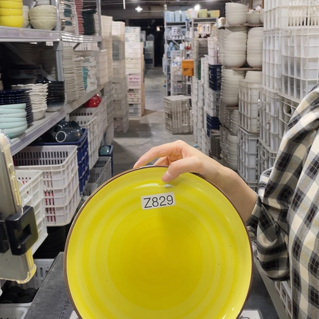 瓷片829                  2个