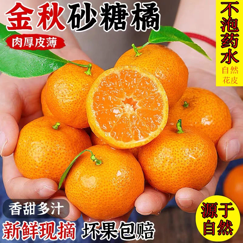 正宗金秋砂糖橘小桔子新鲜水果当季现摘薄皮无籽柑橘蜜桔整箱包邮