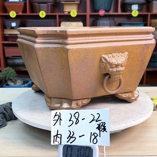 红陶天***塔紫砂花盆里有个大