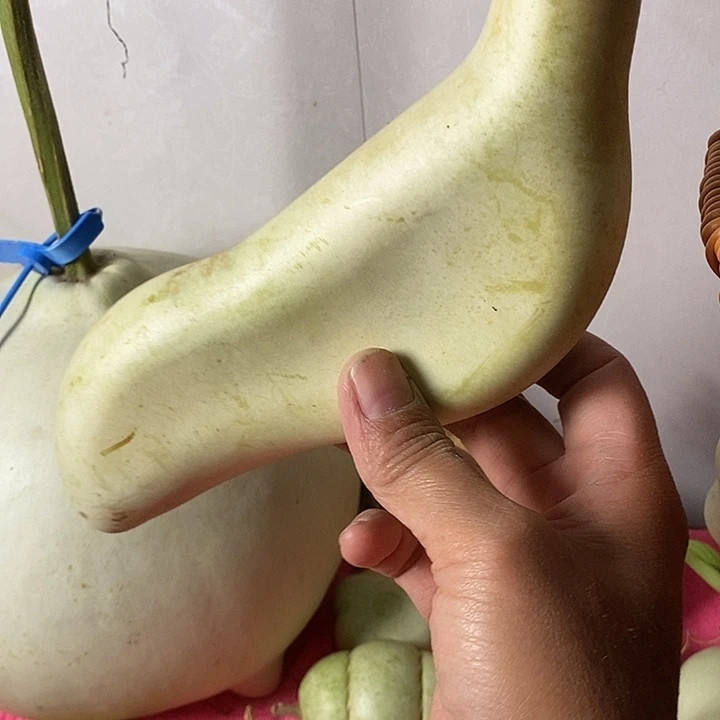 p***n青皮葫芦手把件葫芦