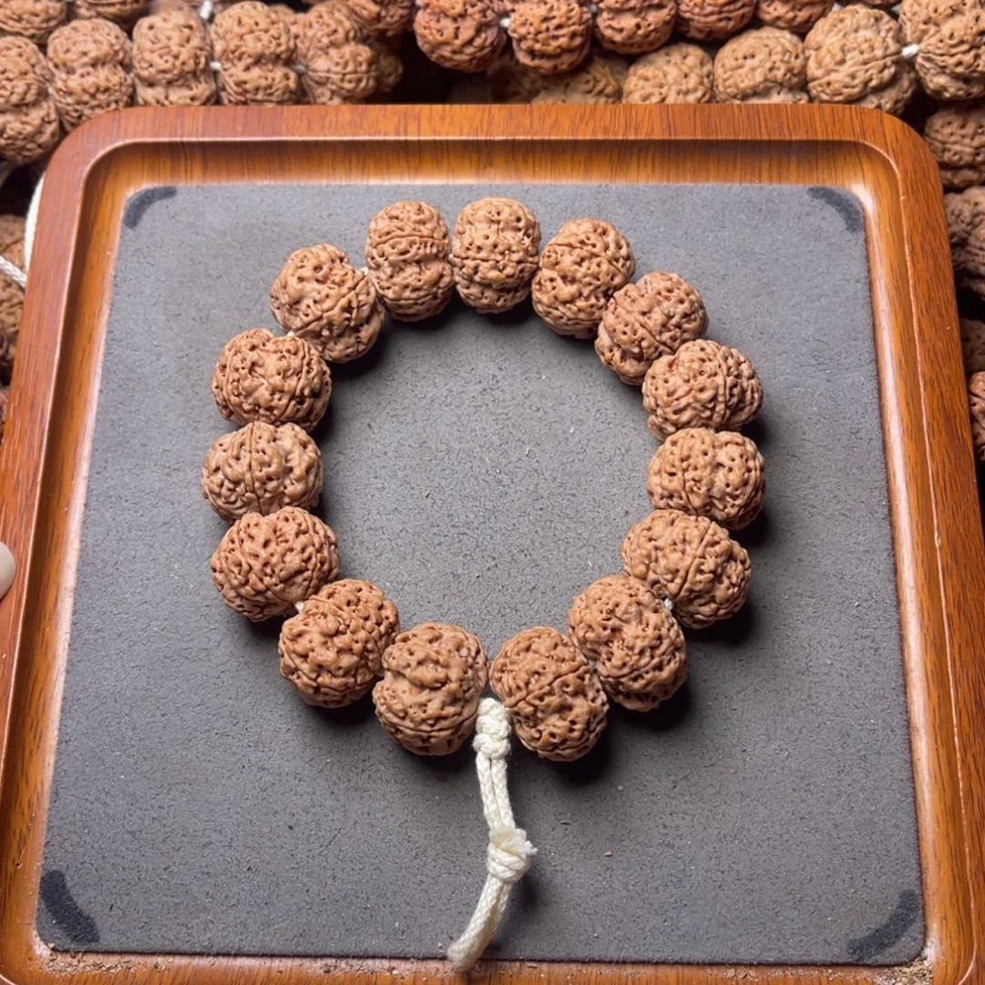 菩提籽类24号金刚菩提矮壮梅花22+