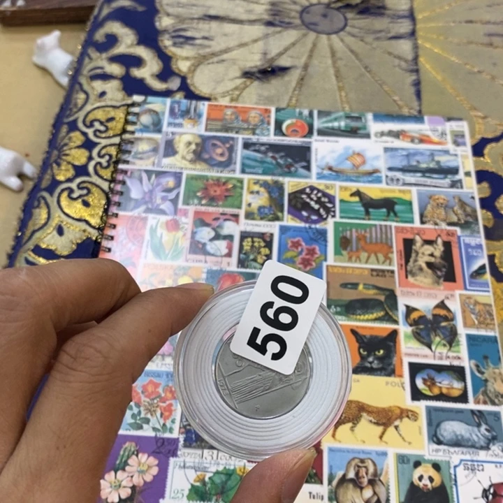 普通金属币哦哦哦哦哦哦哦哦