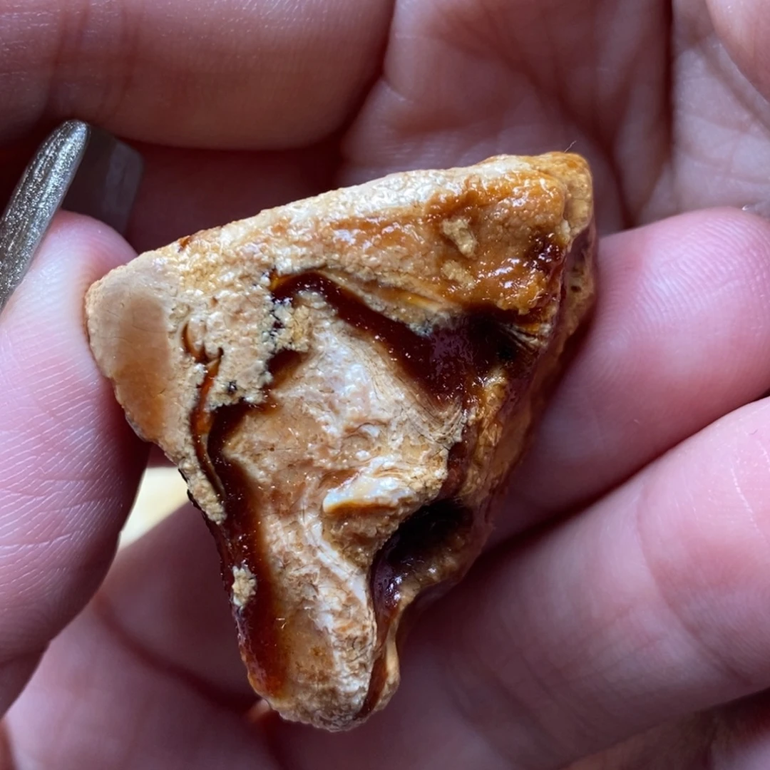 定制琥珀未镶嵌蜜蜡