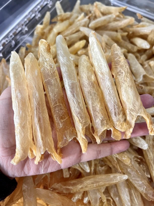 渔民自晒黄花鱼胶黄花筒蒸汤做奶冻煲糖水好吃不贵