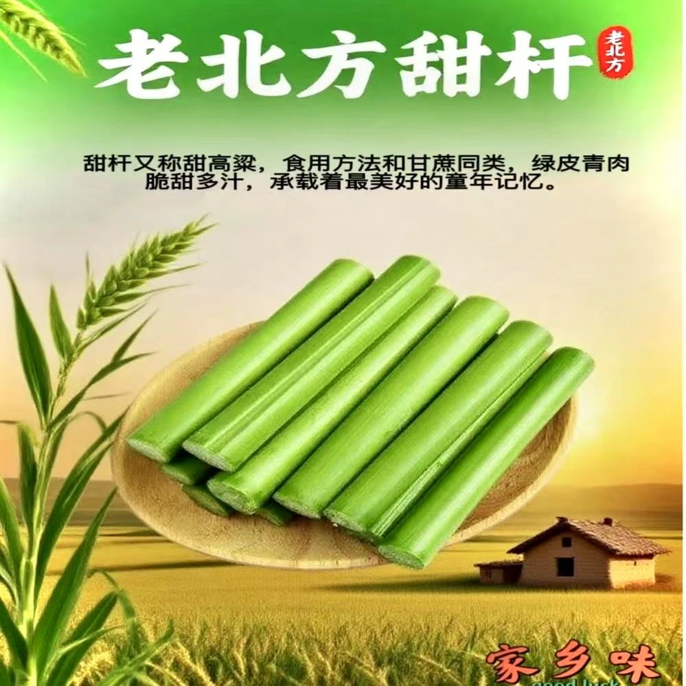 【顺丰冷链】东北甜杆精选中段新鲜甜芦粟多汁青皮甘蔗甜高粱1斤