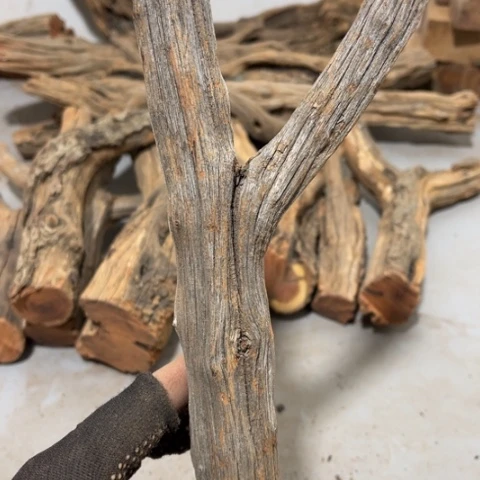 大果紫檀（缅甸花梨）敬*