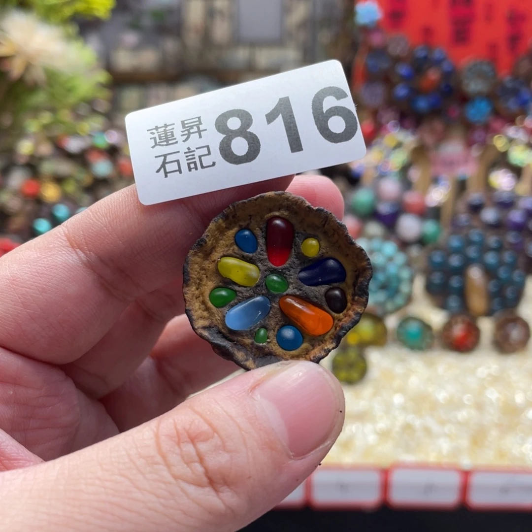 核桃木/黑胡桃(胡桃木)叶****菡816
